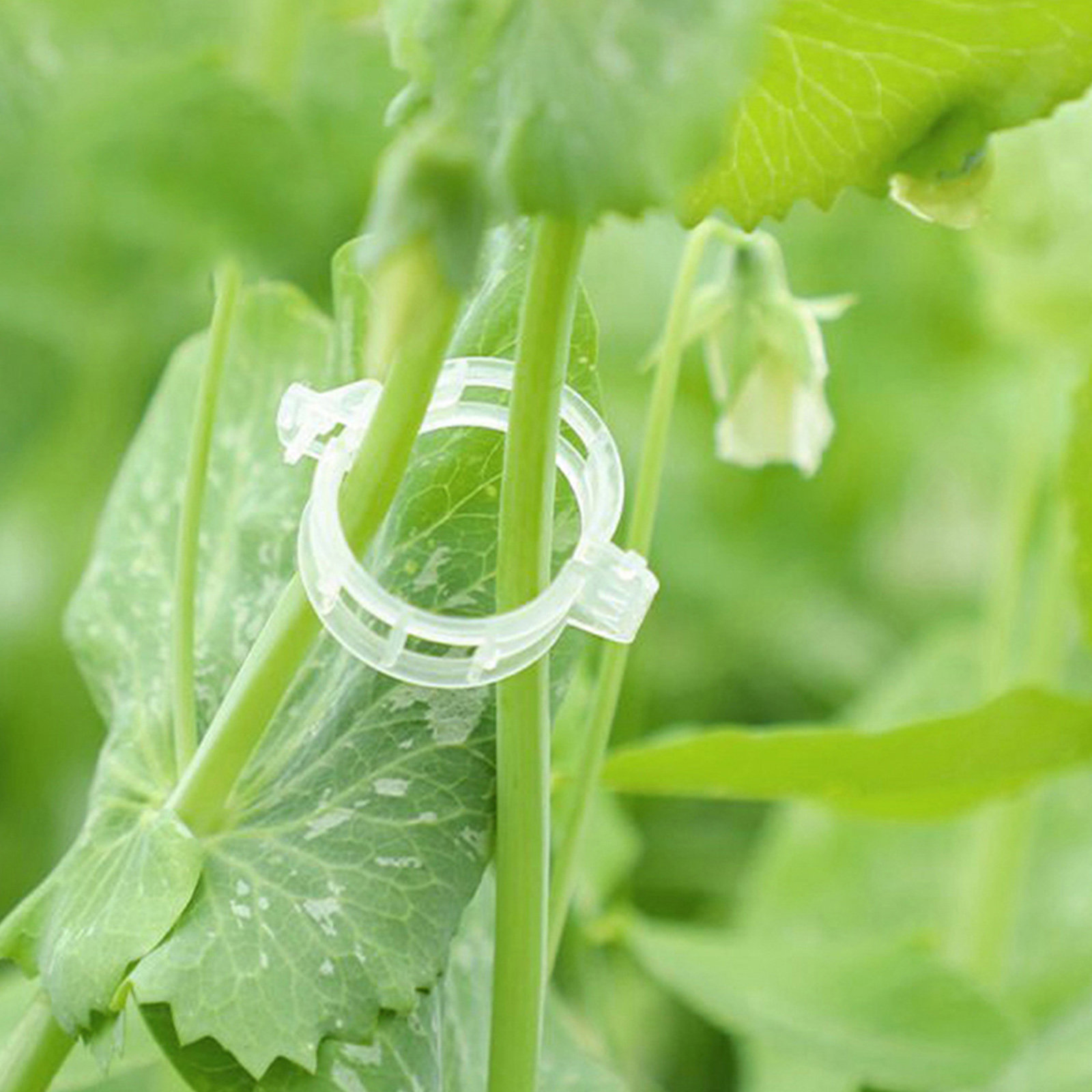 Vine Climbing Plastic - 400Pcs Tomato Clips Plastic Vegetable Garden