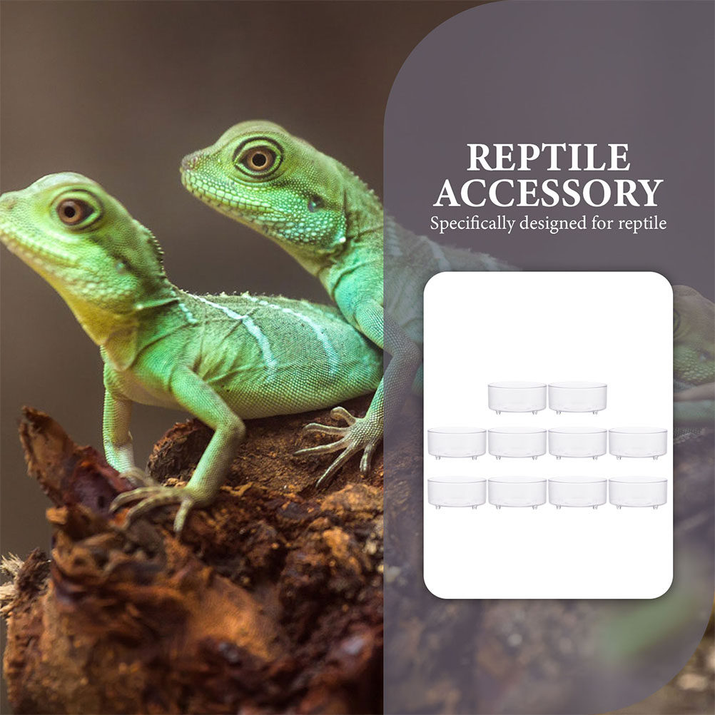 10Pcs Acrylic Reptile Food Dis - Water Dish Reptile 评论和价格