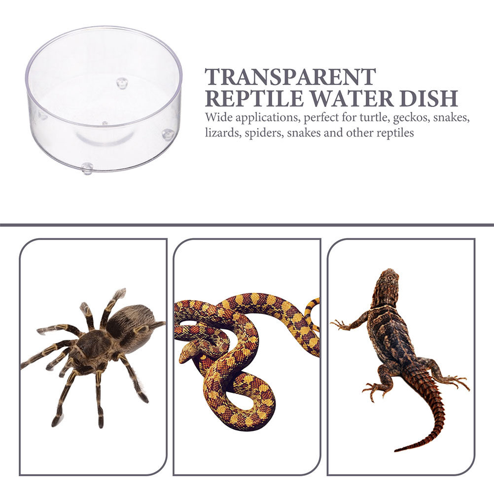 10Pcs Acrylic Reptile Food Dis - Water Dish Reptile 评论和价格