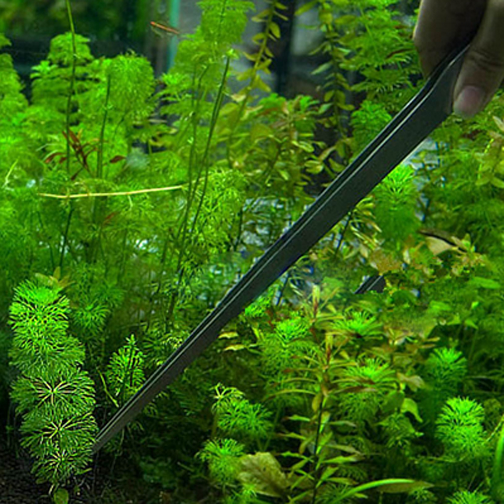 10.5 Inch Aquarium Tweezers St - Feeding Tong Stainless 评论和价格