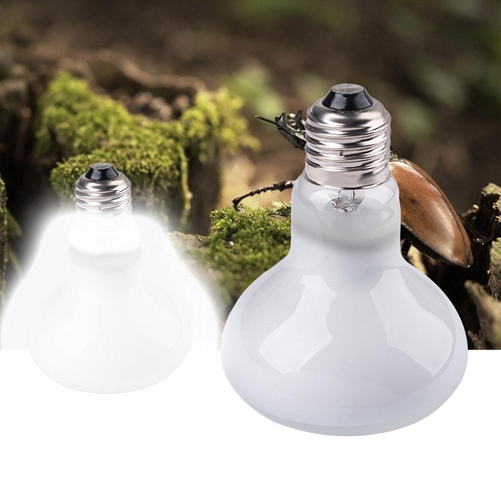 Lizard Temperature Controller  - Basking Bulb Halogen 评论和价格