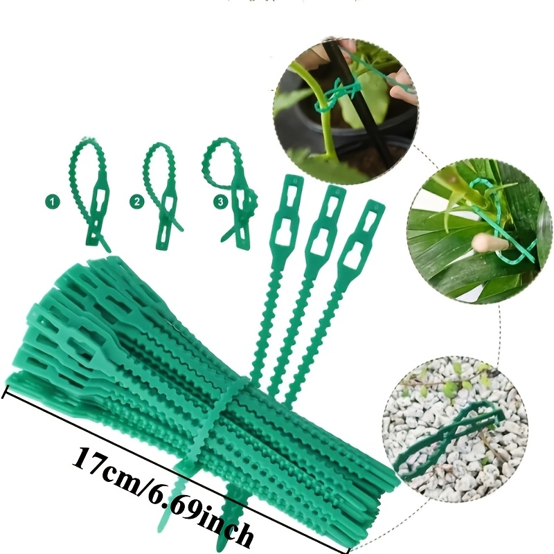 100PCS reusable adjustable pla - Vine Climbing Plastic 评论和价格