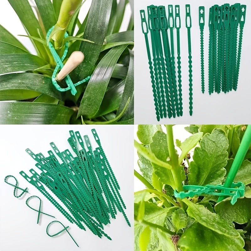100PCS reusable adjustable pla - Vine Climbing Plastic 评论和价格