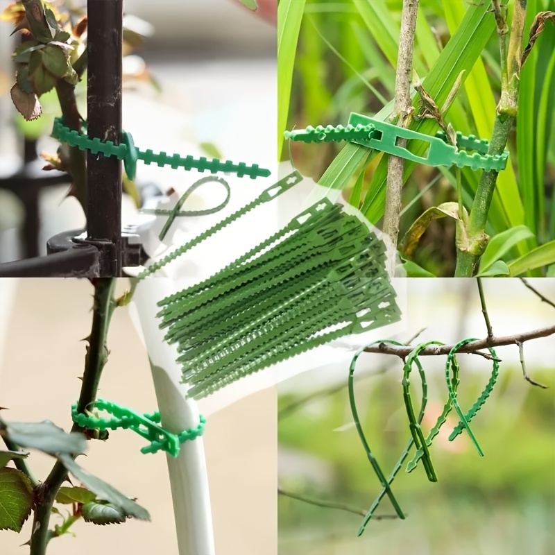 100PCS reusable adjustable pla - Vine Climbing Plastic 评论和价格
