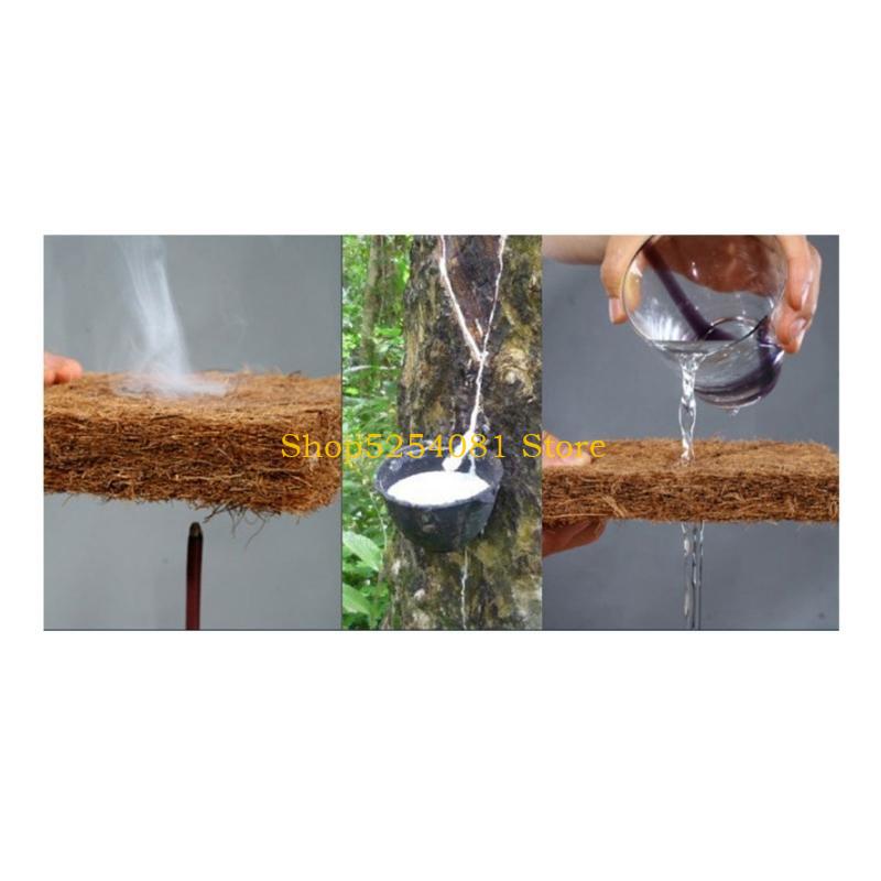 AXYC Reptiles Sleeping Mat Bed - Substrate Coconut Fiber 评论和价格