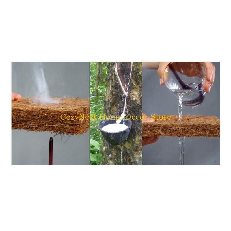 92MF Terrariums Substrate Line - Substrate Coconut Fiber 评论和价格