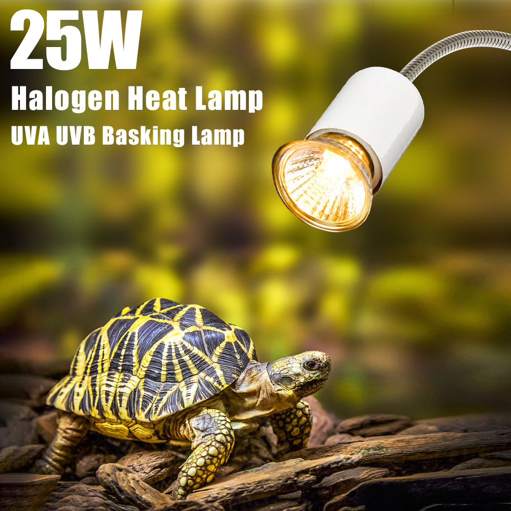 25W Halogen Heat Lamp UVA UVB  - Basking Bulb Halogen 评论和价格