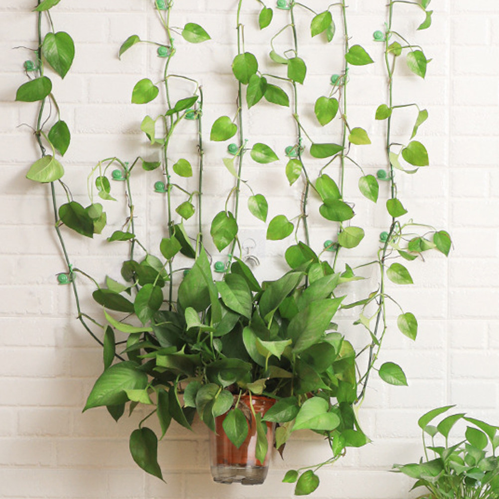 20Pcs Plant Climbing Wall Clip - Vine Climbing Plastic 评论和价格