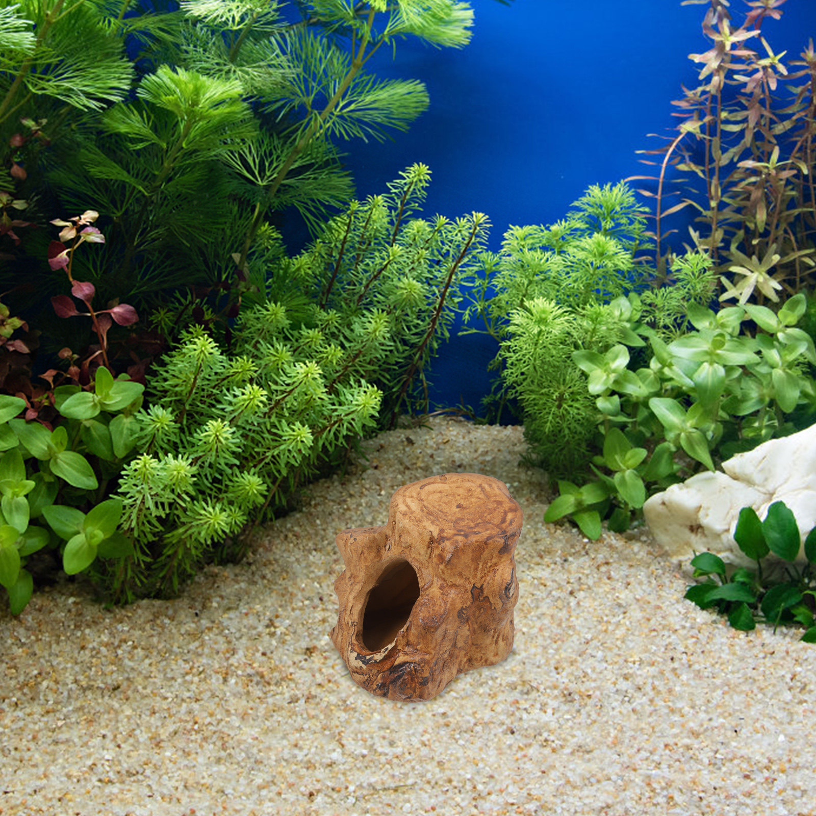 Pleco Caves for Aquarium Fish  - Hide Cave Ceramic 评论和价格