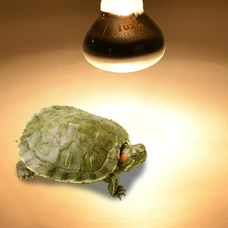 Pet Heating Lamp E27 Day Night - Ceramic Heat Emitter 评论和价格