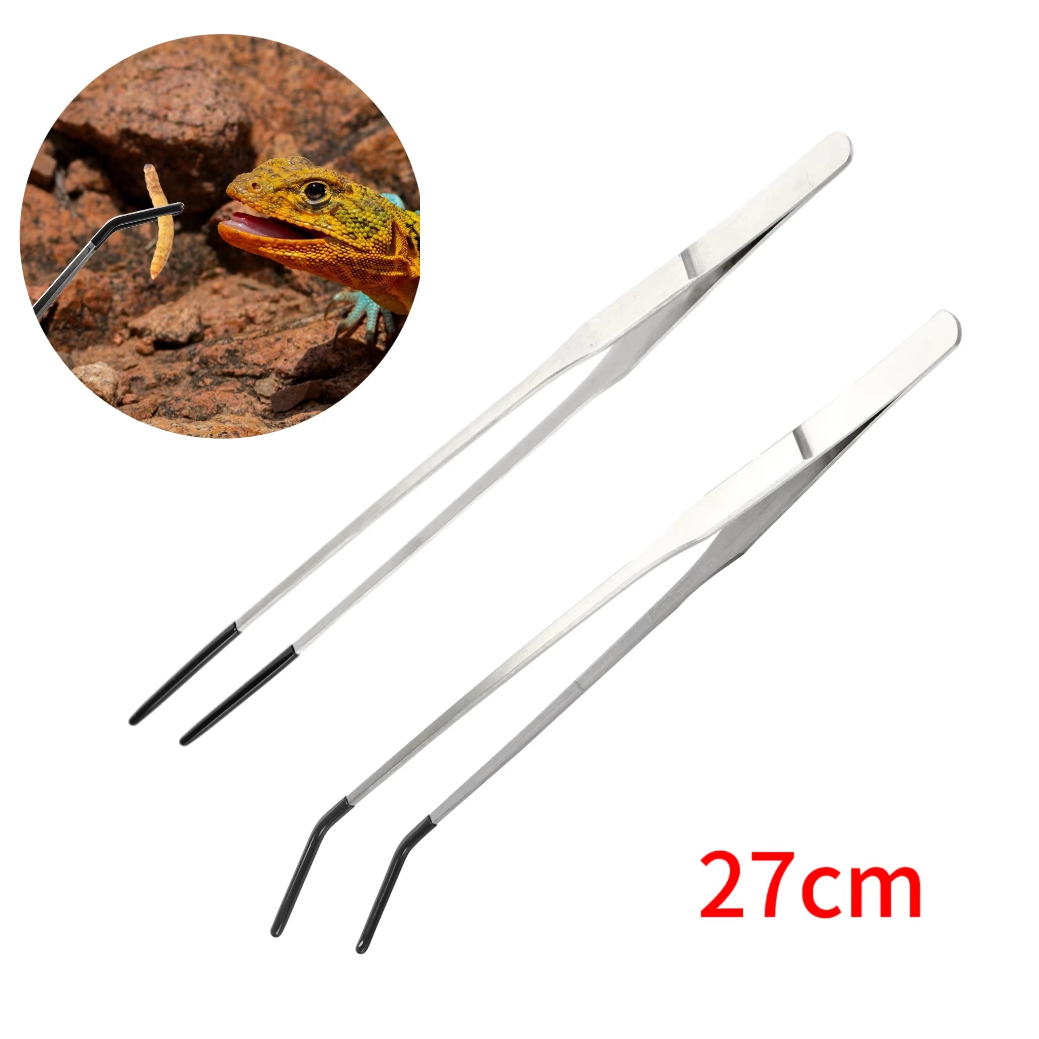 Stainless Steel Reptile Feedin - Feeding Tong Stainless 评论和价格