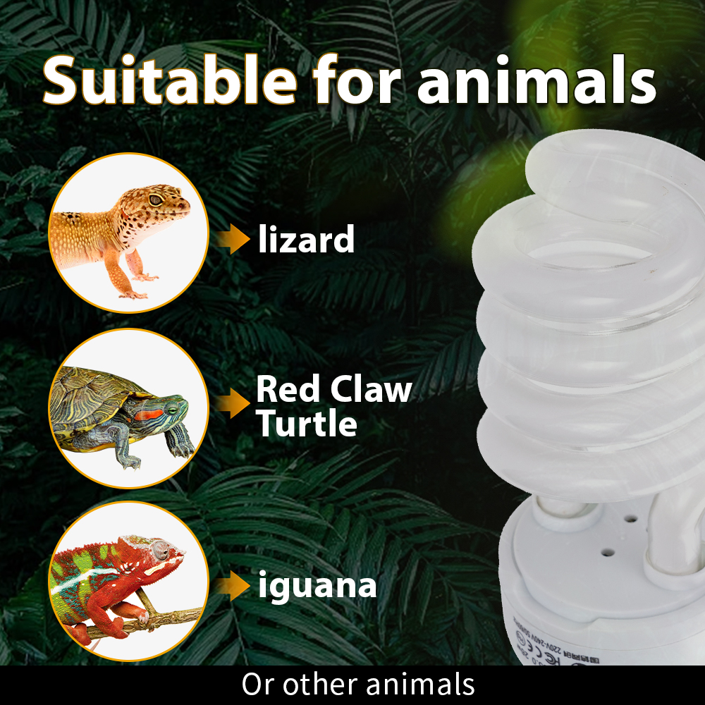 26W Pet Box Lamp Calcium Suppl - Calcium Powder Reptile 评论和价格