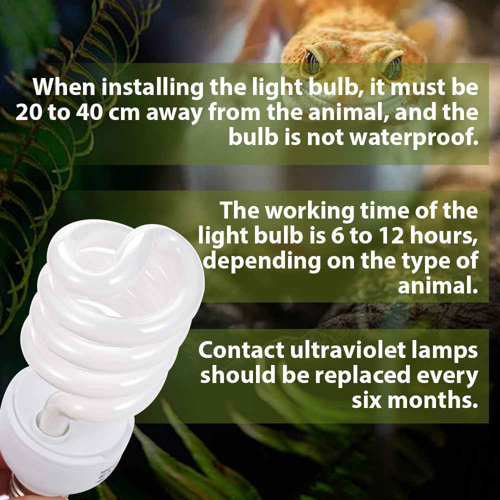 26W Pet Box Lamp Calcium Suppl - Calcium Powder Reptile 评论和价格