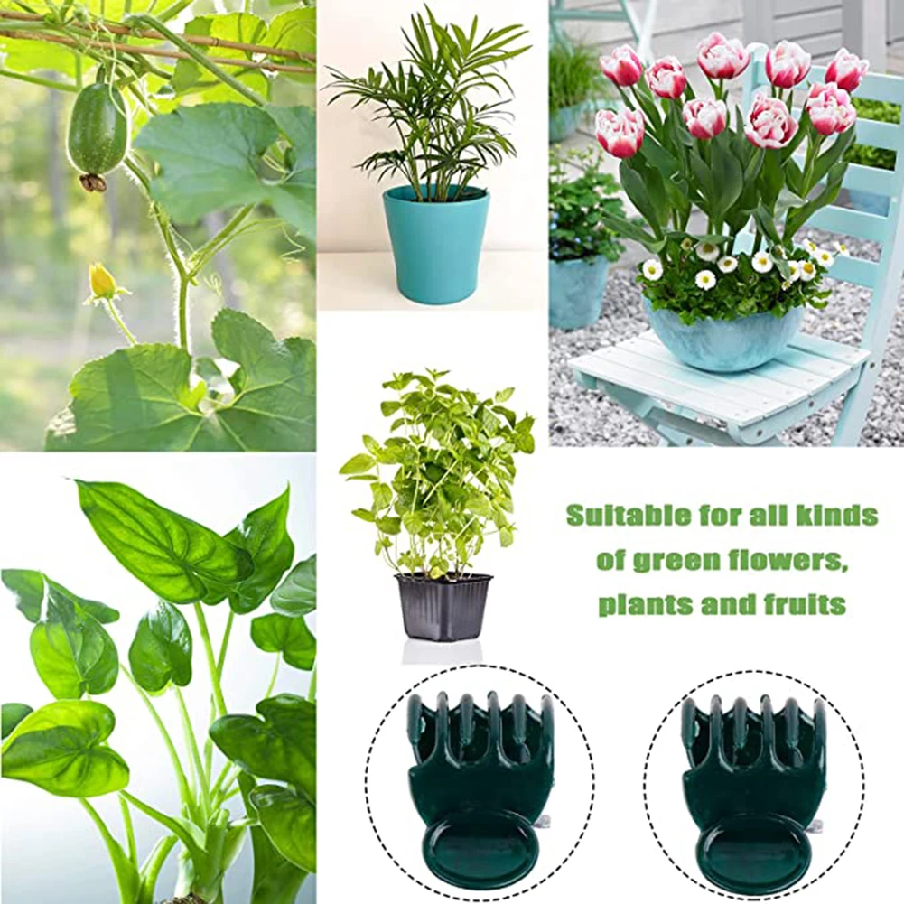 Phalaenopsis Orchid Support Cl - Vine Climbing Plastic 评论和价格