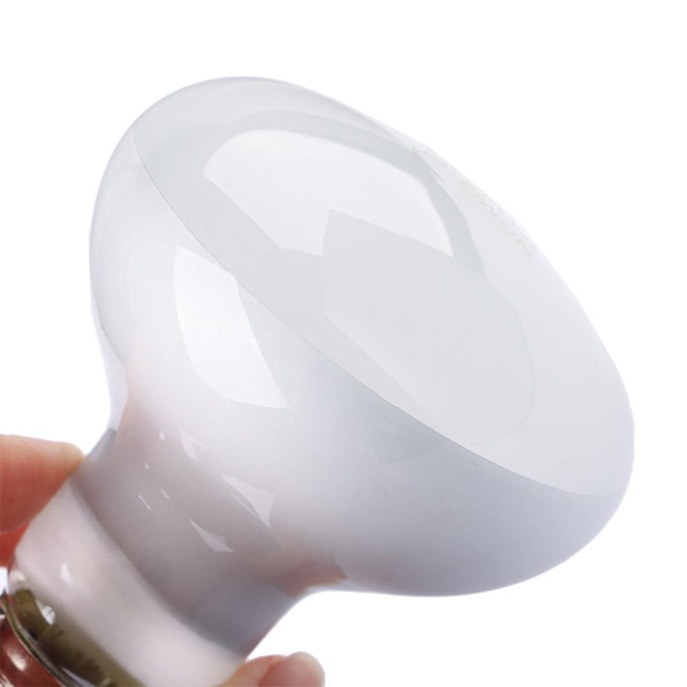 Amphibians Temperature Control - Basking Bulb Halogen 评论和价格