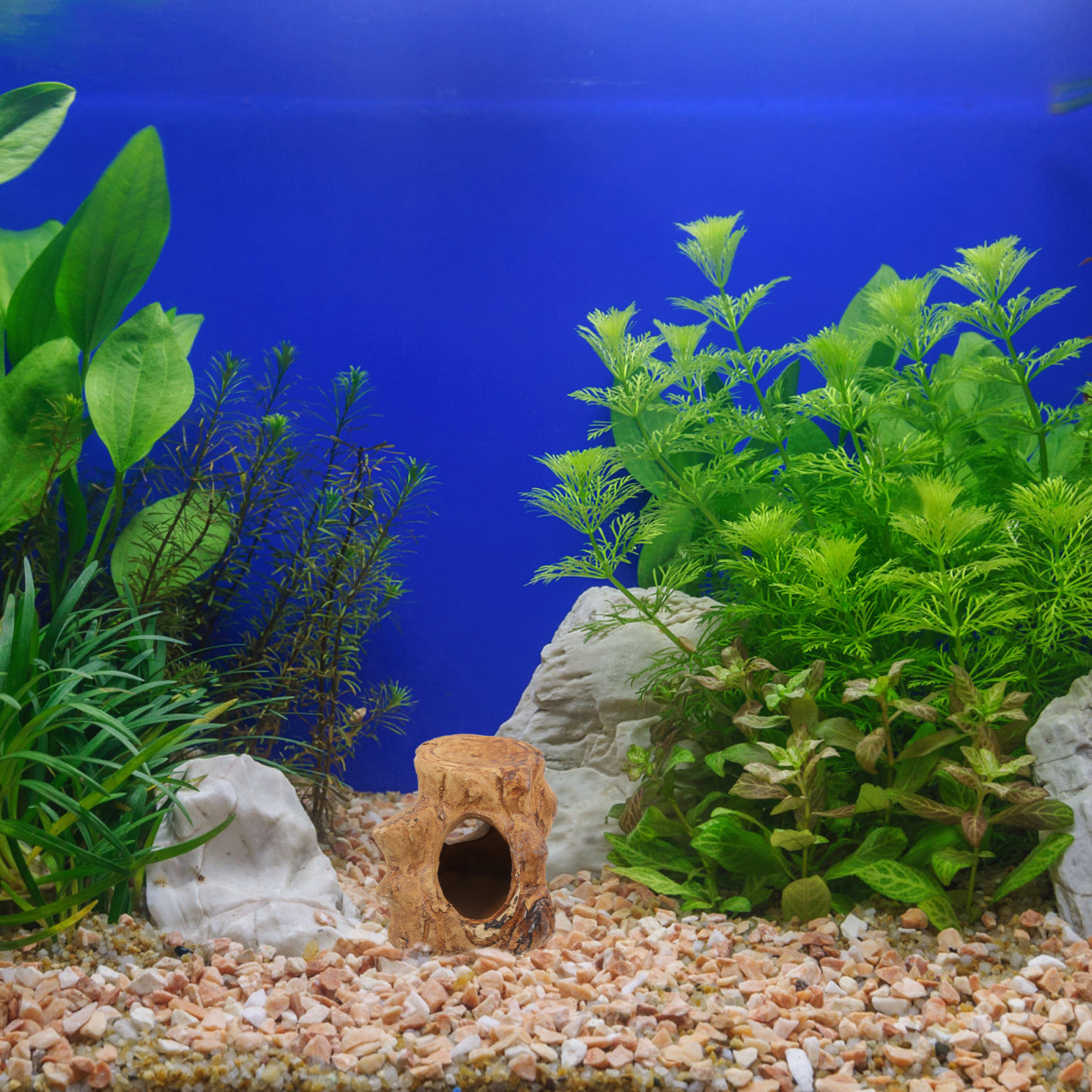 Pleco Caves Fish Tank Decorati - Hide Cave Ceramic 评论和价格