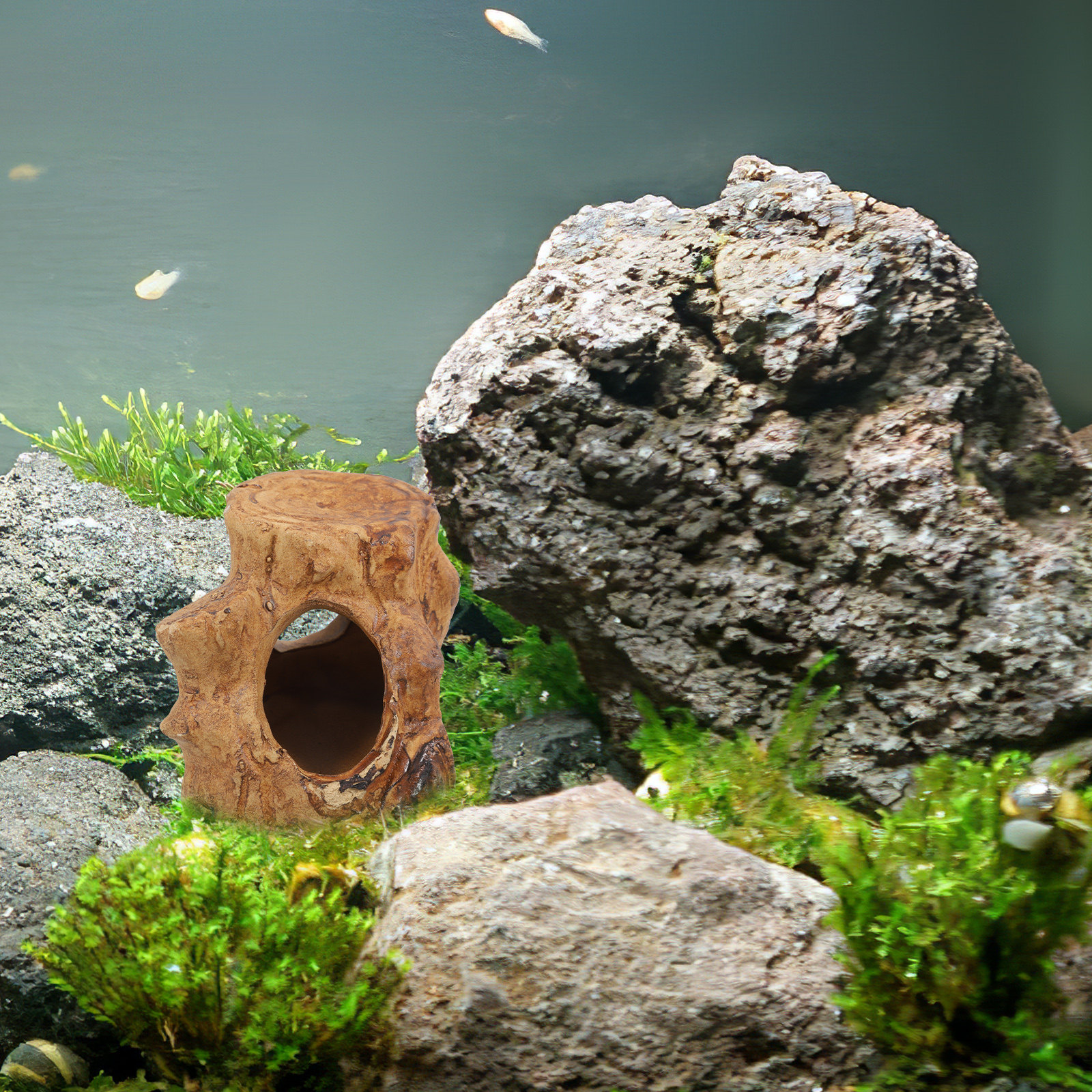 Pleco Caves Fish Tank Decorati - Hide Cave Ceramic 评论和价格