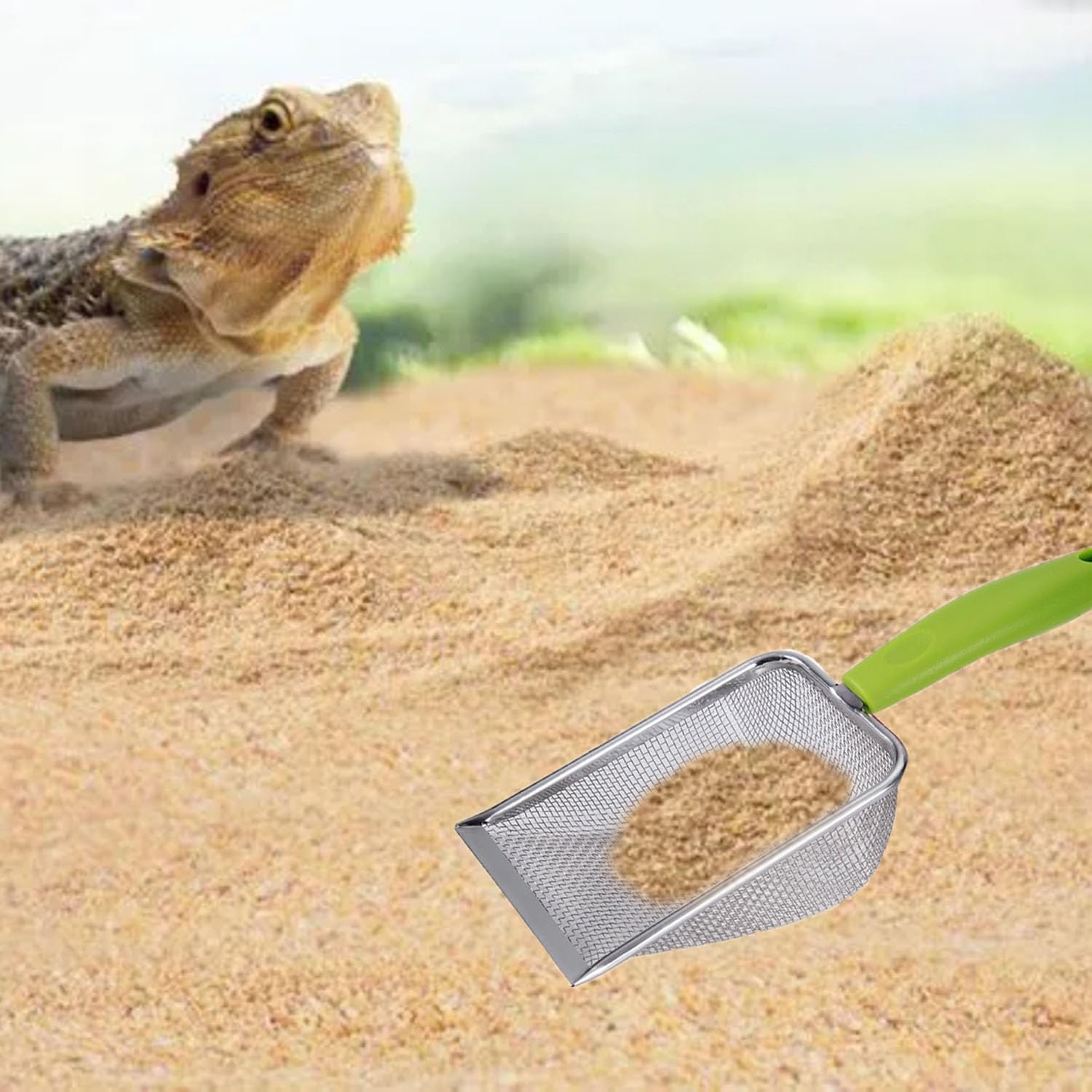 Reptile Sand Scoop Set - Fine  - Feeding Tong Stainless 评论和价格