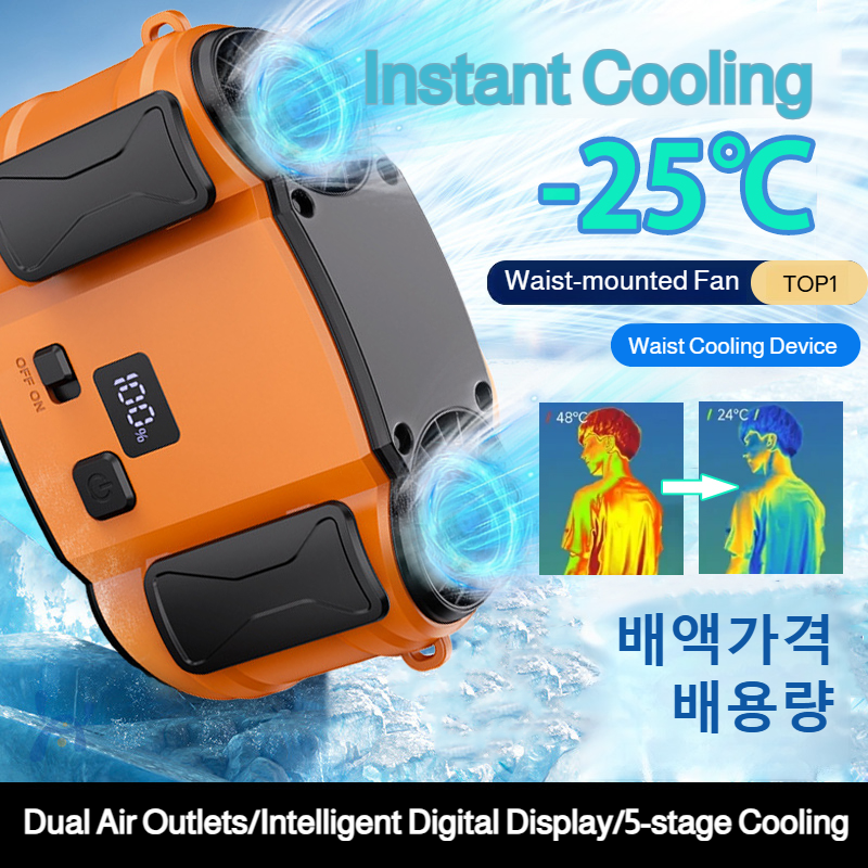 Outdoor Double Air Outlet Fan  - Timer Dual Outlet 评论和价格