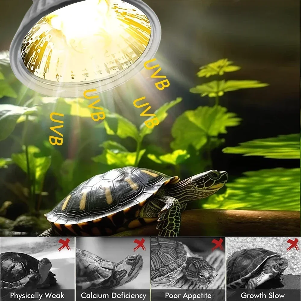 75/50/25W Tortoise Lizard Bask - Calcium Powder Reptile 评论和价格