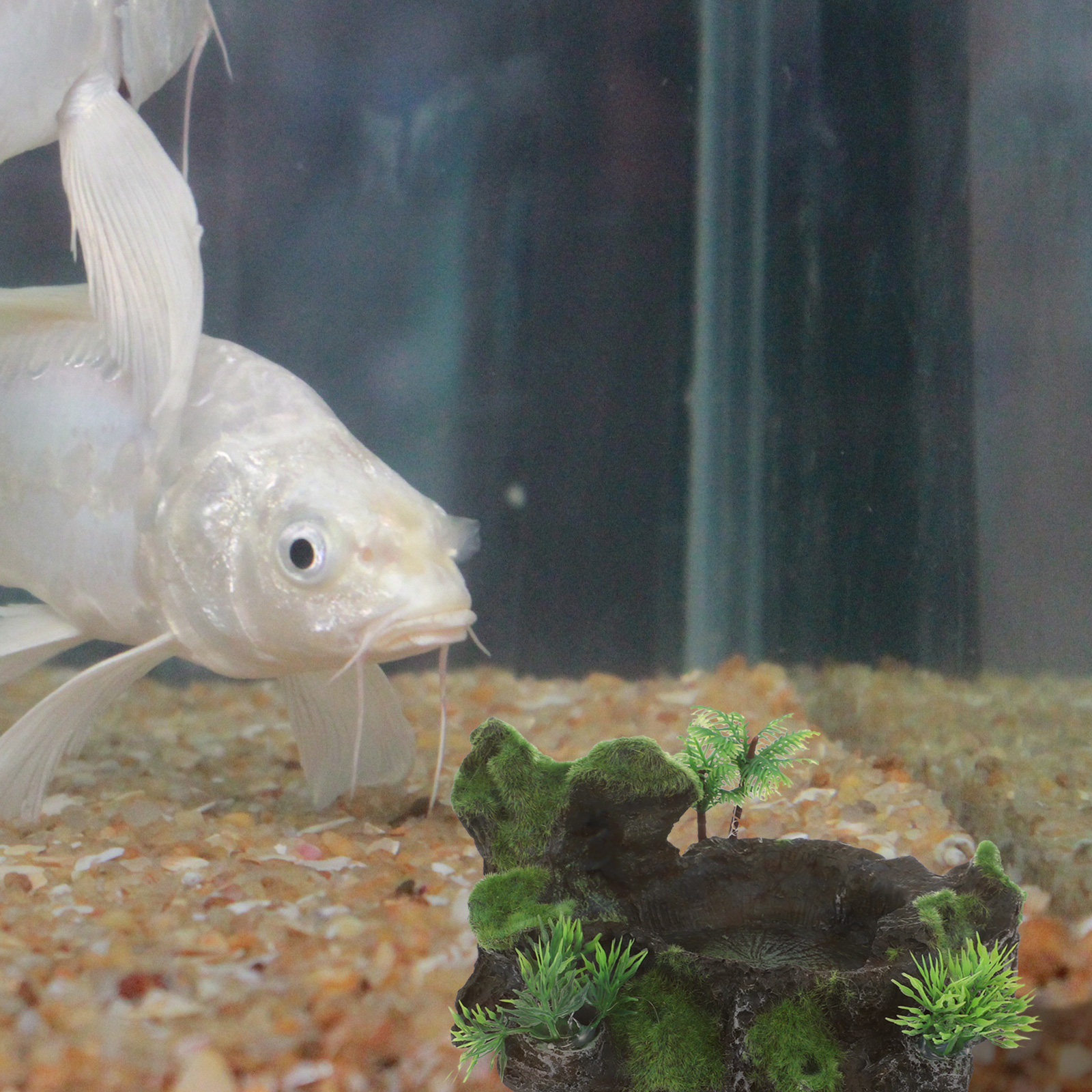 Realistic Stone Design Reptile - Water Dish Reptile 评论和价格