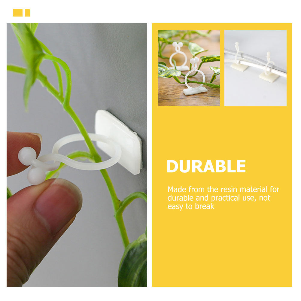 100Pcs Plant Climbing Wall Fix - Vine Climbing Plastic 评论和价格