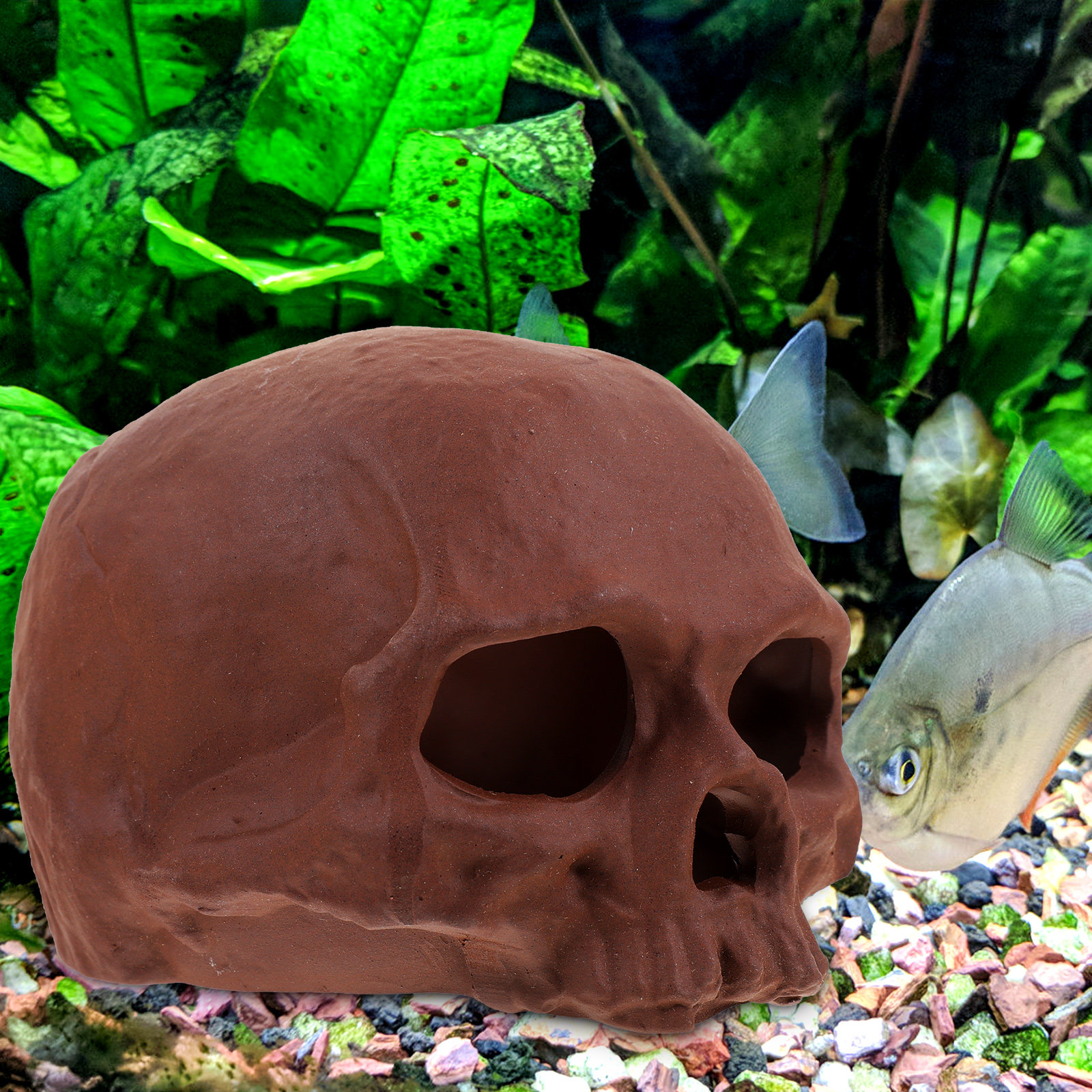Ceramic Fish Tank Decoration S - Hide Cave Ceramic 评论和价格