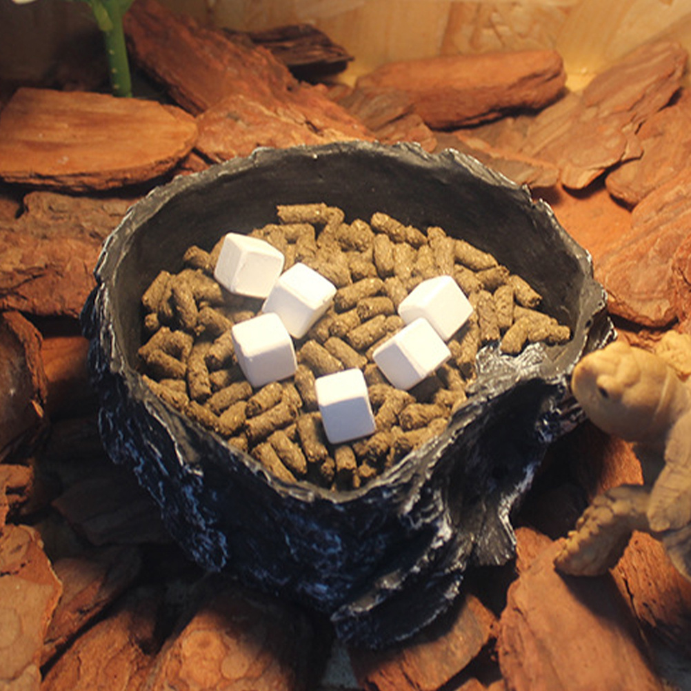 6Pcs Tortoise Tank Calcium Cub - Calcium Powder Reptile 评论和价格