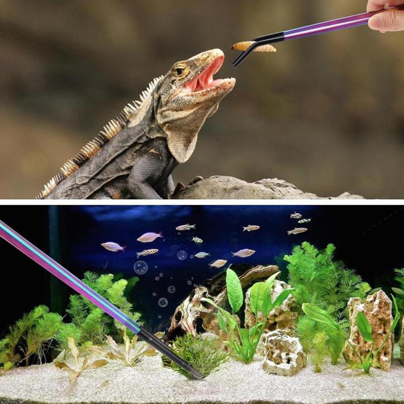 Reptile Feeder Tongs Soft Sili - Feeding Tong Stainless 评论和价格