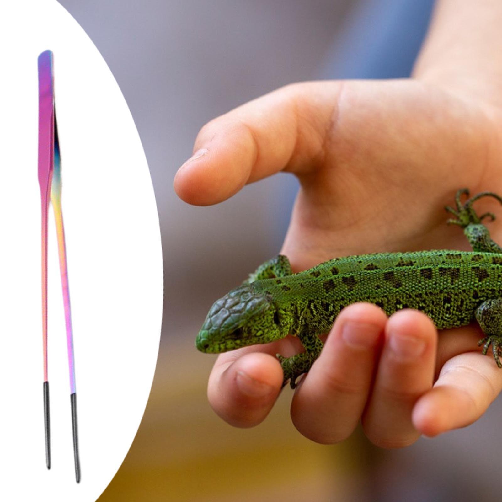 Reptile Feeder Tongs Soft Sili - Feeding Tong Stainless 评论和价格