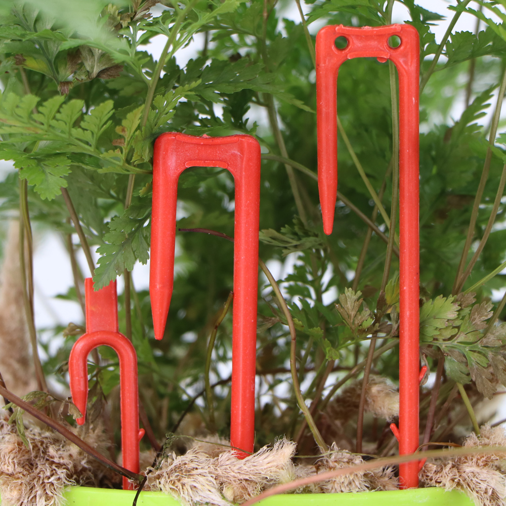 20-50PCS Strawberry Planting F - Vine Climbing Plastic 评论和价格