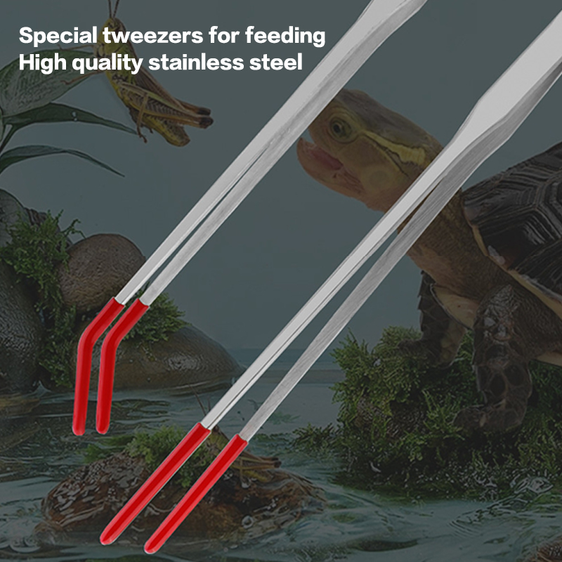 Fish Tank Cleaning Tools Snake - Feeding Tong Stainless 评论和价格
