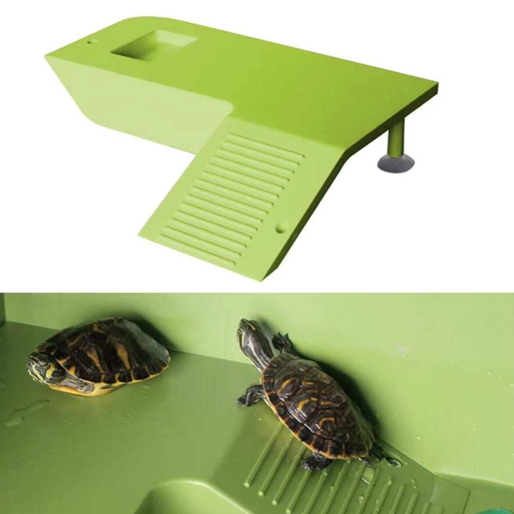 Water Land Slope Box Feeding C - Water Dish Reptile 评论和价格