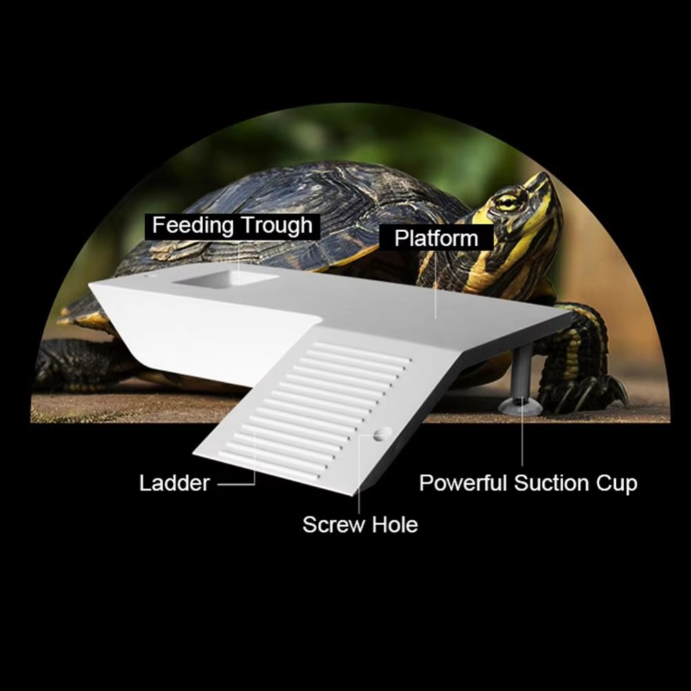 Water Land Slope Box Feeding C - Water Dish Reptile 评论和价格