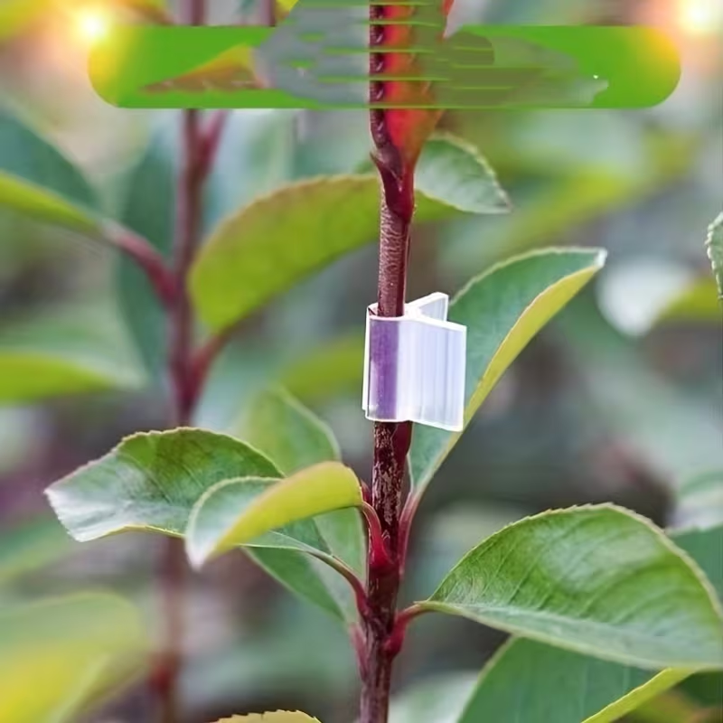 50pcs Agriculture Grafting Cli - Vine Climbing Plastic 评论和价格