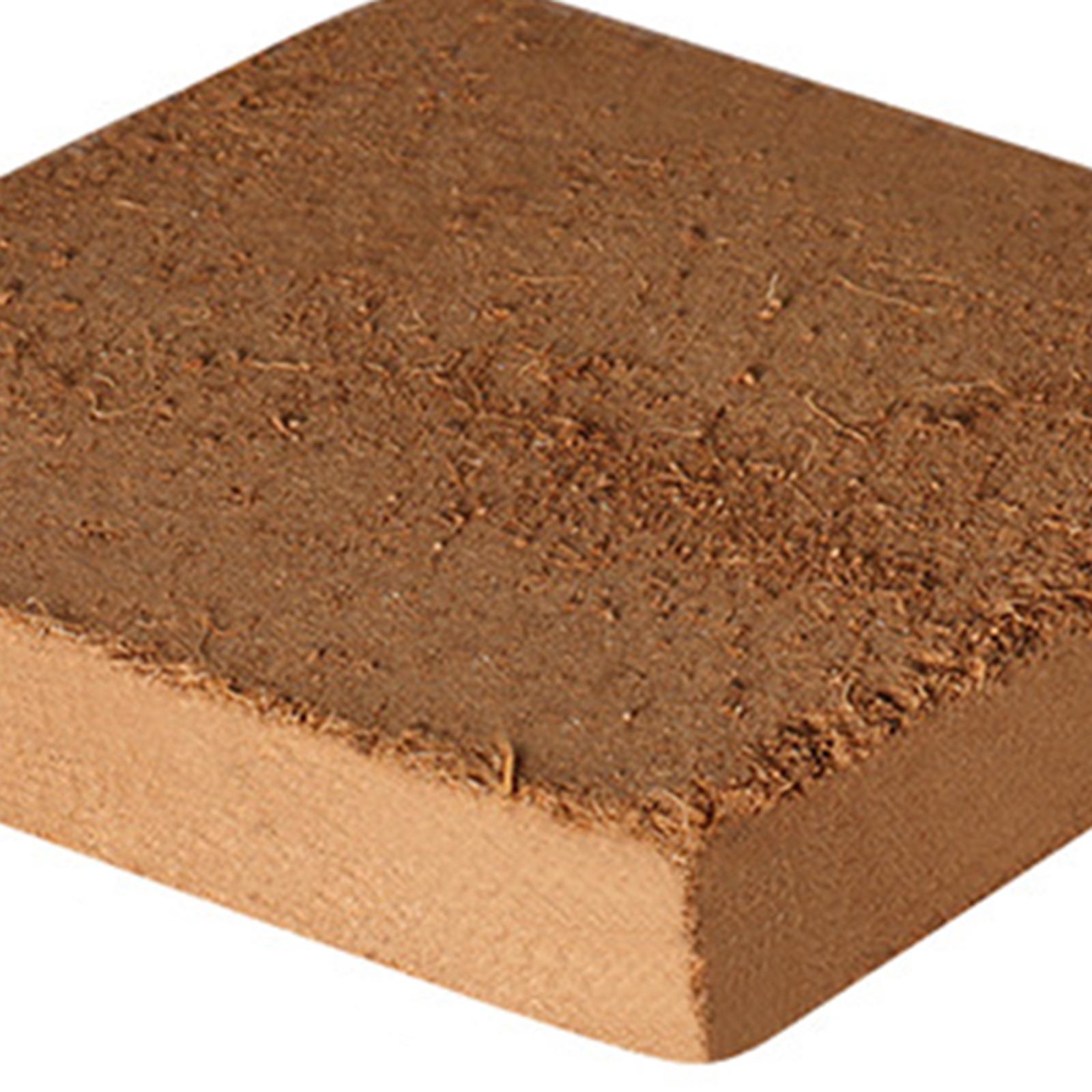 Soil Coconut Fibre Terrarium S - Substrate Coconut Fiber 评论和价格