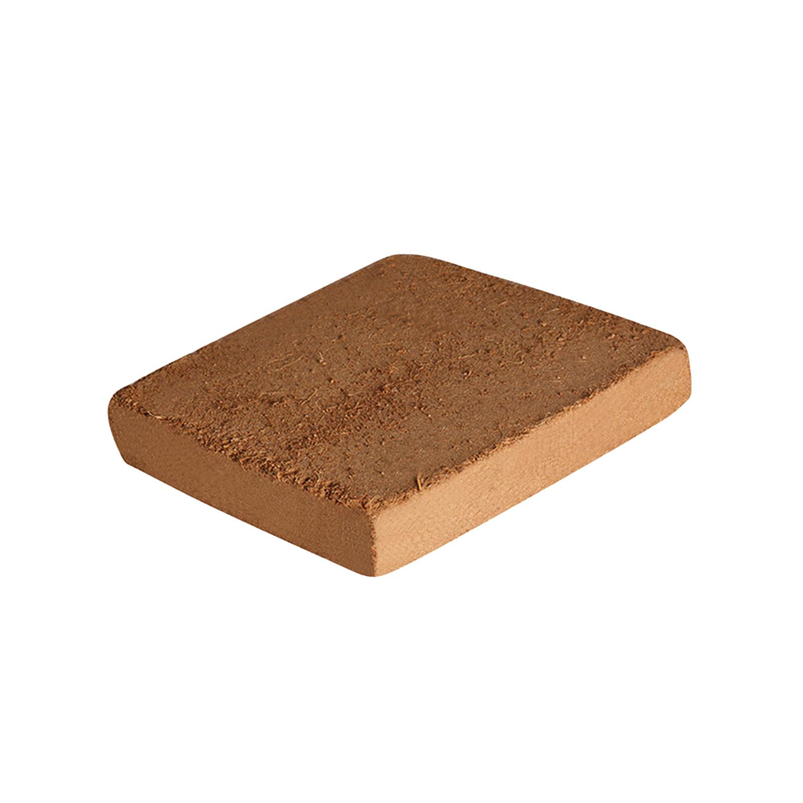 Soil Coconut Fibre Terrarium S - Substrate Coconut Fiber 评论和价格