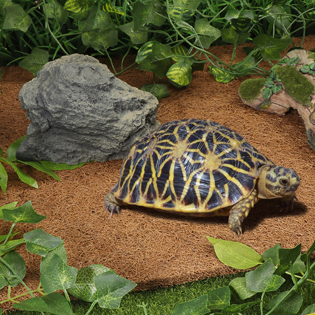 Natural Coconut Fiber Reptile  - Substrate Coconut Fiber 评论和价格
