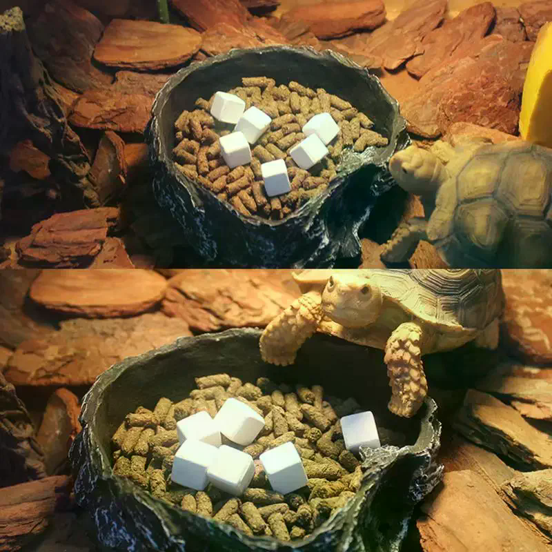 Slow Release Calcium Mineral B - Calcium Powder Reptile 评论和价格