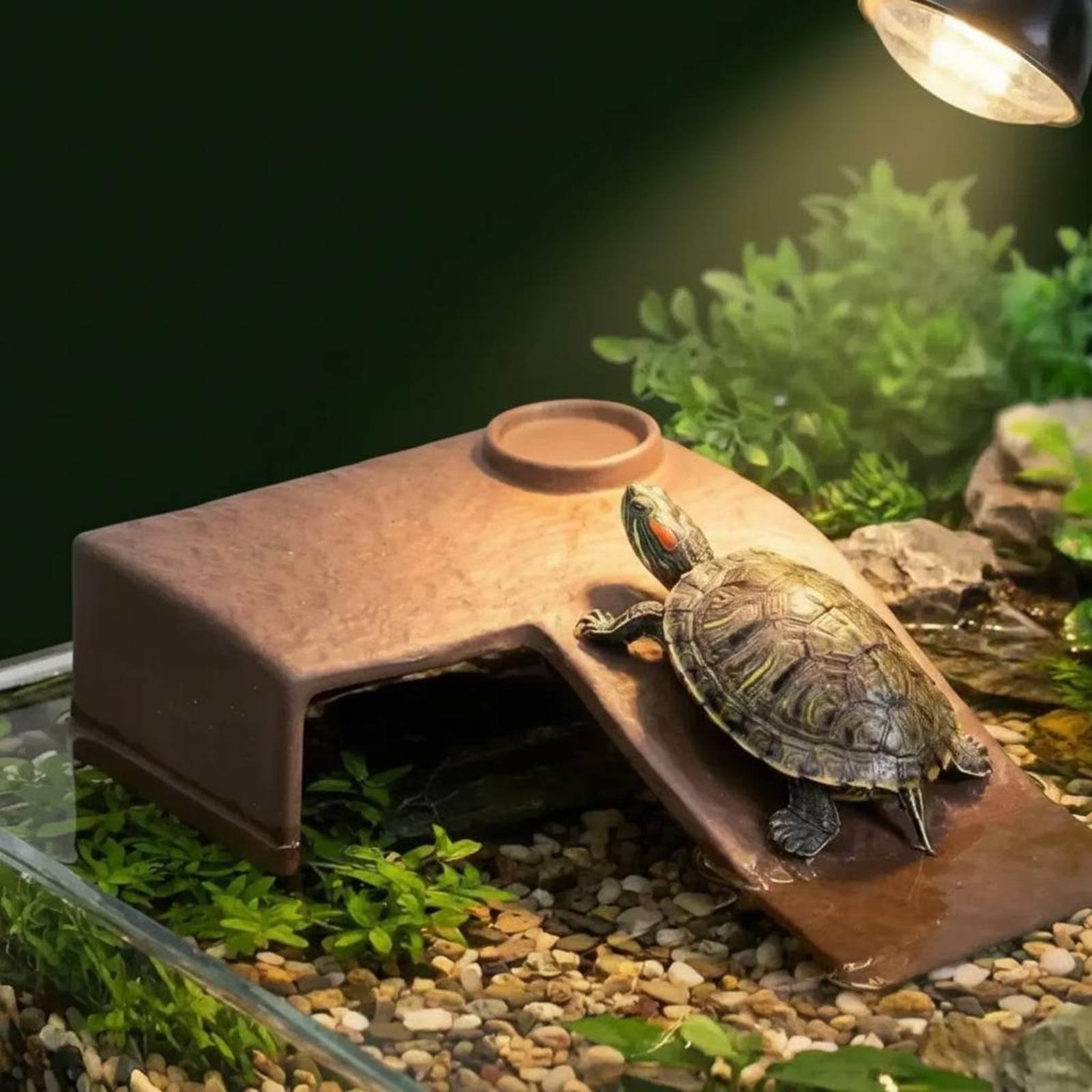 2 Pieces Turtle Basking Dock E - Hide Cave Ceramic 评论和价格