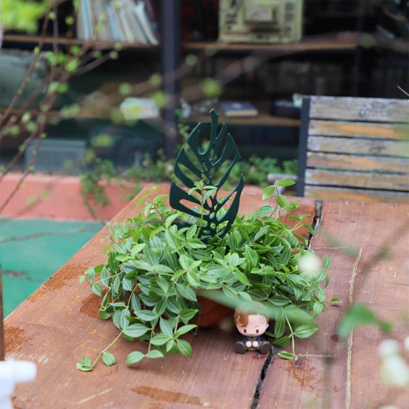 Plant Climbing Support Stand F - Vine Climbing Plastic 评论和价格