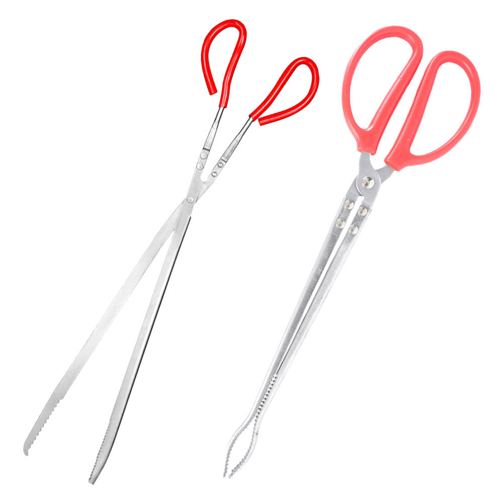 2Pcs Stainless Steel Snake Ton - Feeding Tong Stainless 评论和价格