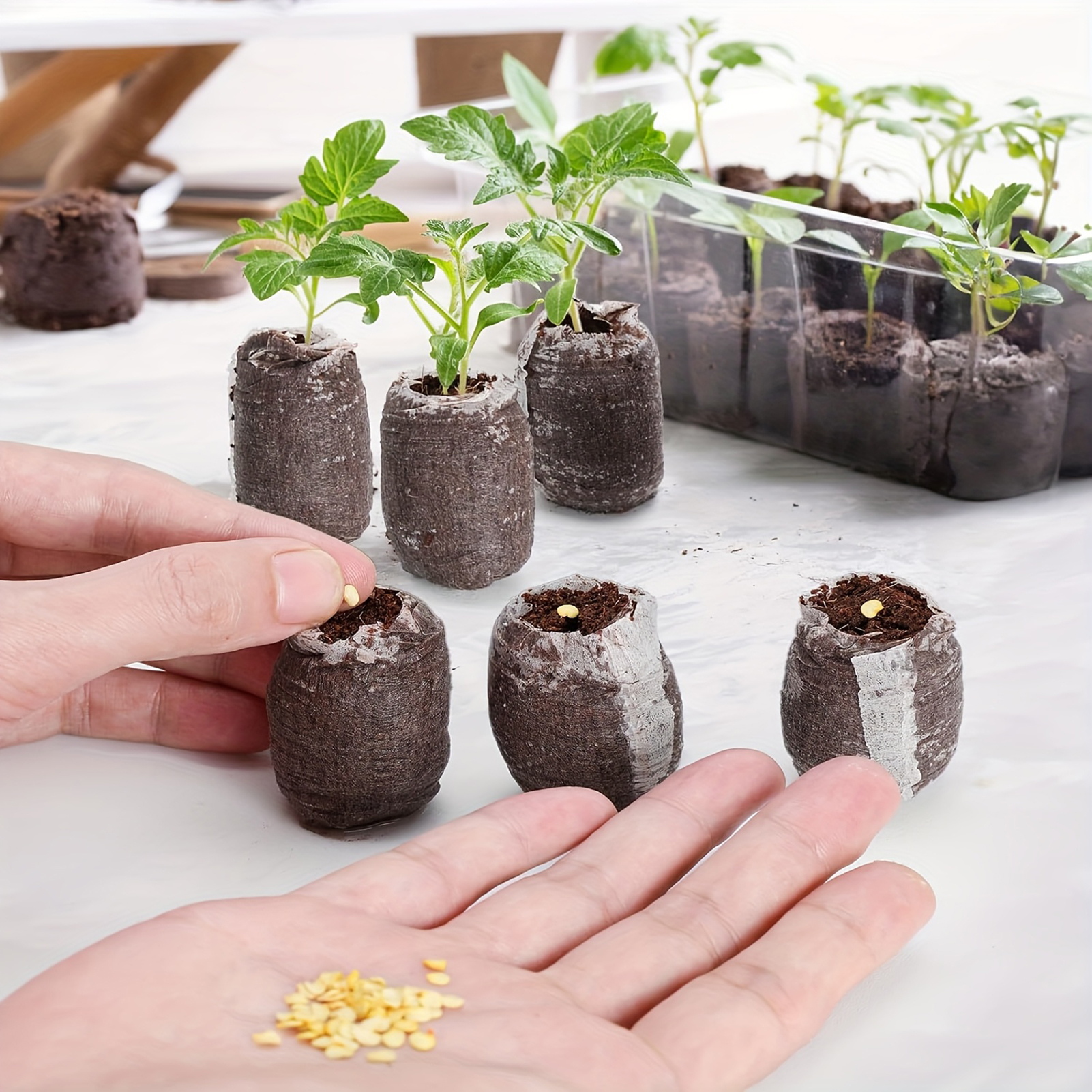 10/20/50pcs Plant Growth Bags  - Substrate Coconut Fiber 评论和价格